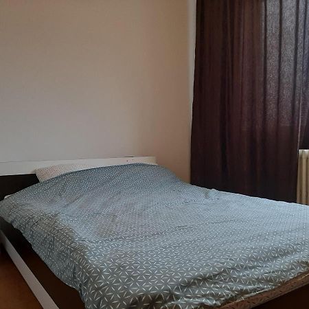 Ultracentral Apartment Bulevard Regele Mihai Nr 10, Sc A Ap 16 Timişoara Eksteriør billede